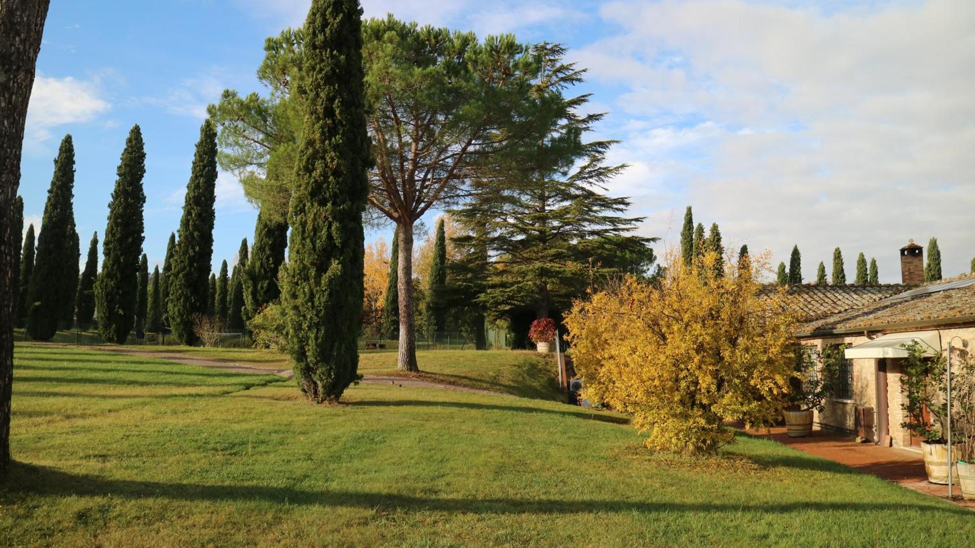 Agriturismo La Sovana Sarteano Exterior foto